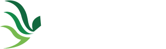 Guardian Anti Graffiti Logo
